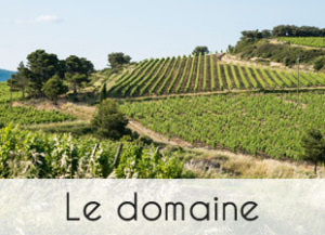 img_domaine