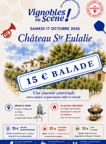 Vignoble en scène - BALADE